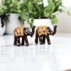 Vastu Decorative Elephant Set in Rajasthan