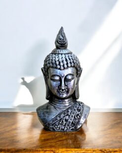 The Meditative Split Buddha in Polarized Vision