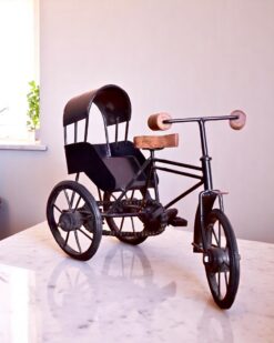Iron Cycle Rickshaw in Rajasthan